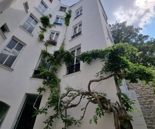 Façade intérieure blanche avec vigne grimpante dans une cour rue Lecourbe à Paris