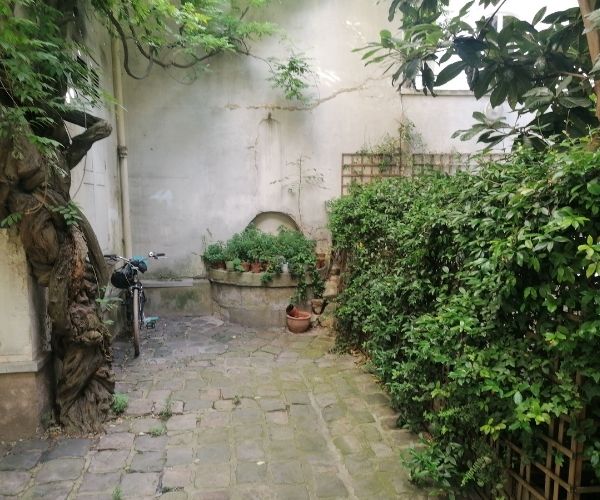 Cour intérieure végétalisée avec murs et treillages à Paris